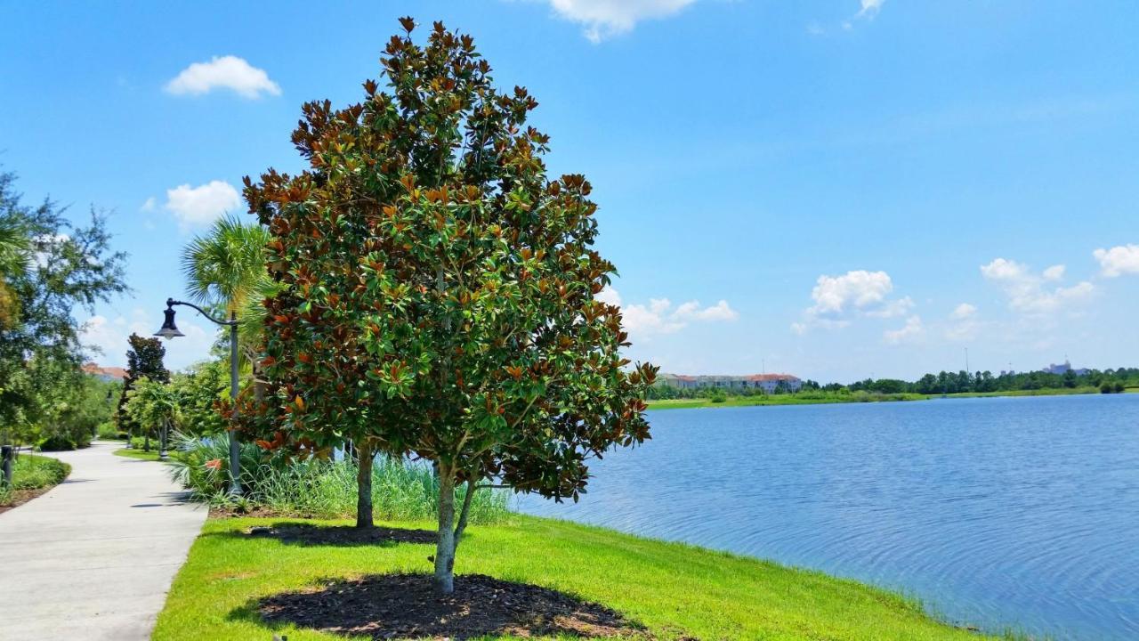 Newly Updated Condo W Scenic Resort View Orlando Exterior photo